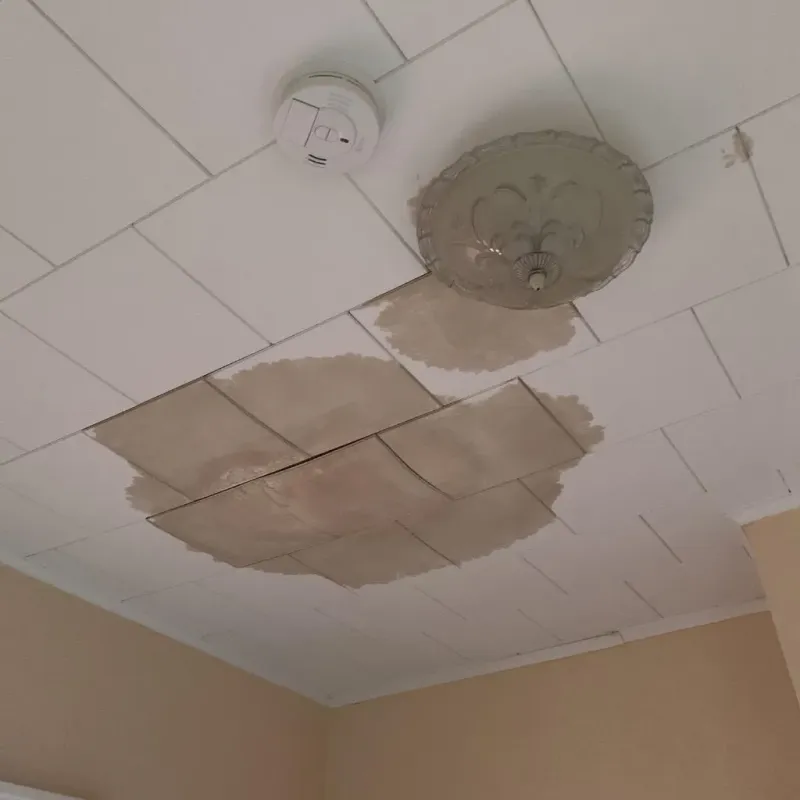 Ceiling Water Damage Repair in Beulah, ND
