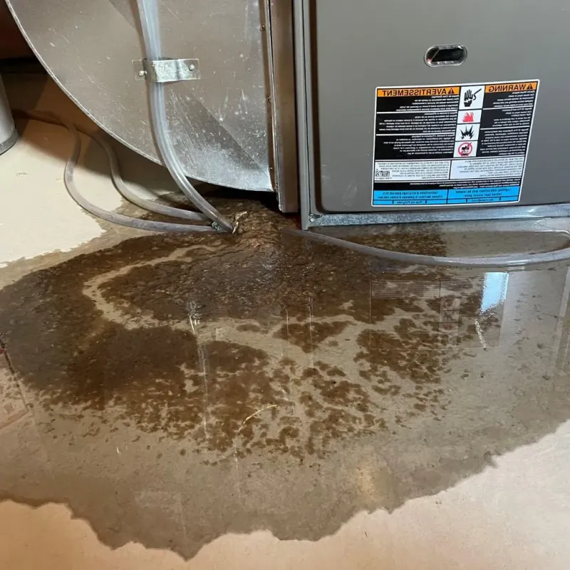 Pipe Burst and Leak Restoration in Beulah, ND