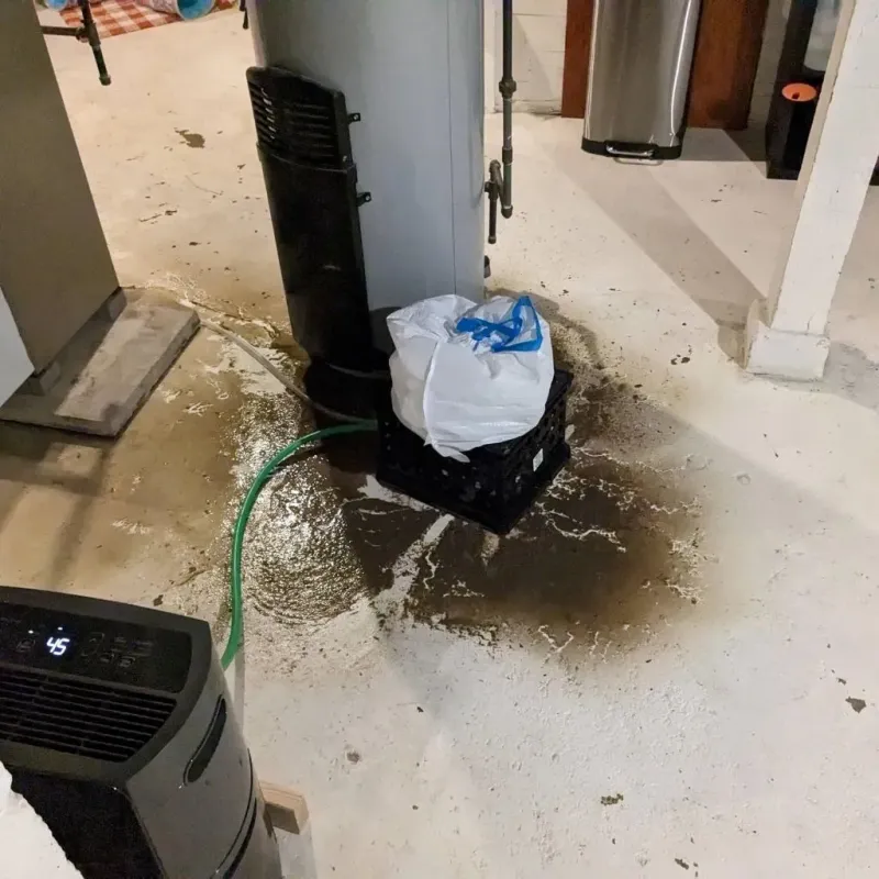 Sewage Backup Cleanup Service in Beulah, ND